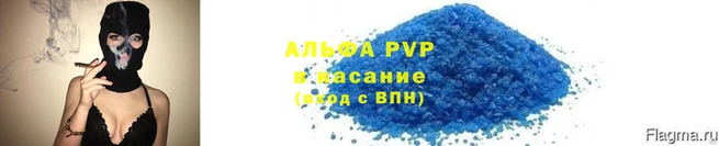 СК Медногорск
