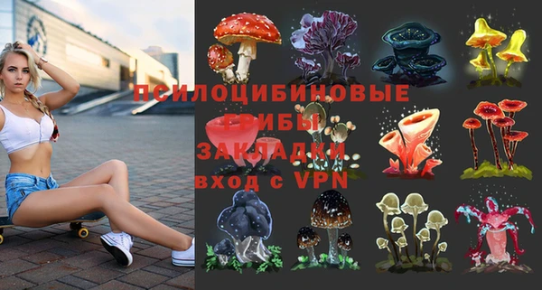 сатива Алапаевск