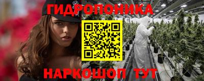 Альфа ПВП Беслан