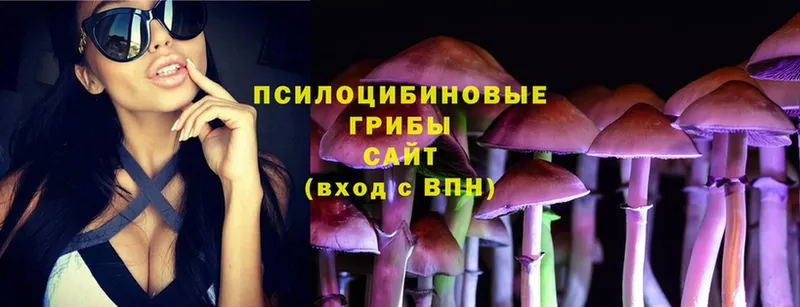 Галлюциногенные грибы Magic Shrooms  Дмитров 