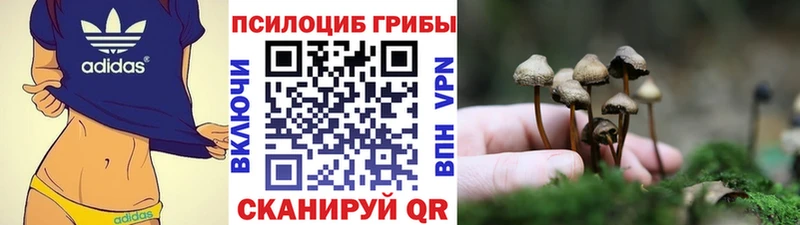 Галлюциногенные грибы MAGIC MUSHROOMS  Дмитров 