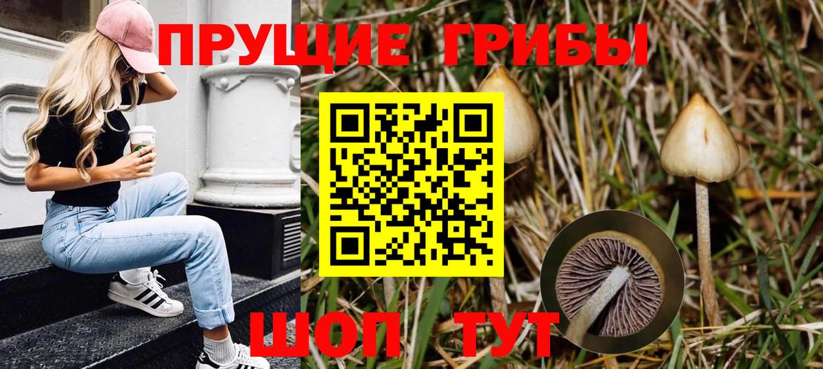 Галлюциногенные грибы прущие грибы  Вход с VPN  Дмитров 