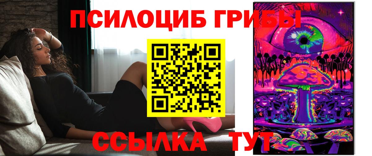 Псилоцибиновые грибы ЛСД Дмитров